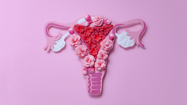 Decorative illustration of a uterus adorned with pink and red flowers on a pink background, representing female hormonal health and the estrogen-progesterone connection
