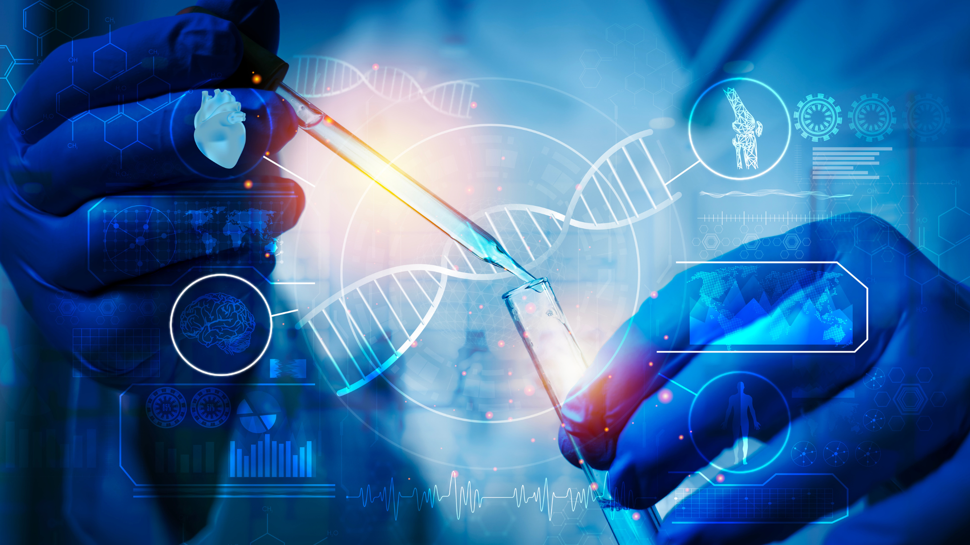 Rhodiola, Tongkat Ali, Shilajit, and Pregnenolone supplement stack — HPA axis cortisol and testosterone support ingredients