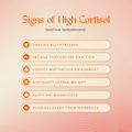 Signs of high cortisol infographic listing symptoms: chronically stressed, fatigue, loss of motivation, difficulty losing weight, puffy face, poor workout recovery
